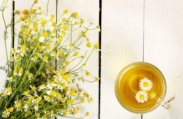 Pourquoi acheter sa tisane chez un grossiste ?